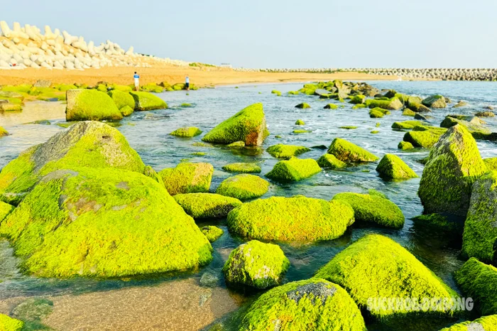 7rqnqr8nrc1-ypglal8c042-l77ff9j7h93