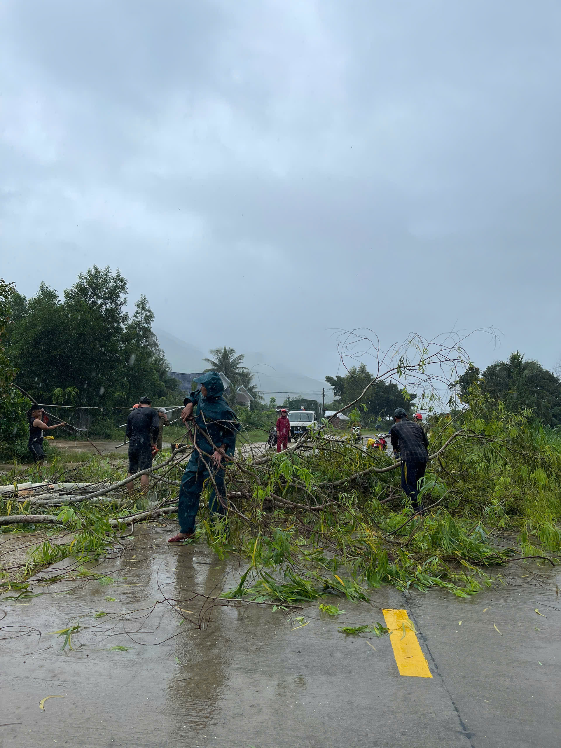 z7194438799894_245245cb1ed7efd54c07ec93d0025556